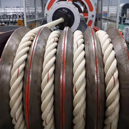 Cnrm 3 Strand Rope Twisting Machine Raffia Twisting Nylon Polyester PP PE Monofilament Danline Plastic Baler Twine Rope Making Machine